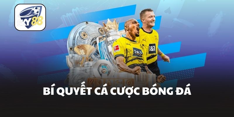 Bí quyết cá cược bóng đá