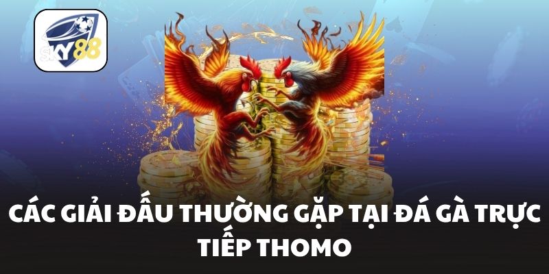 Các giải đấu thường gặp tại đá gà trực tiếp Thomo