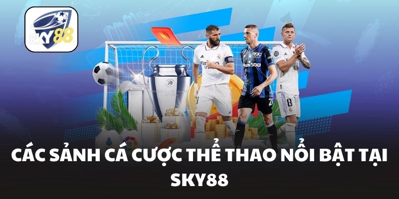Các sảnh cá cược thể thao nổi bật tại Sky88