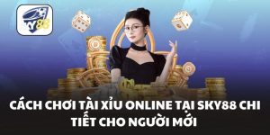 Cách Chơi Tài Xỉu Online Tại Sky88 Chi Tiết Cho Người Mới