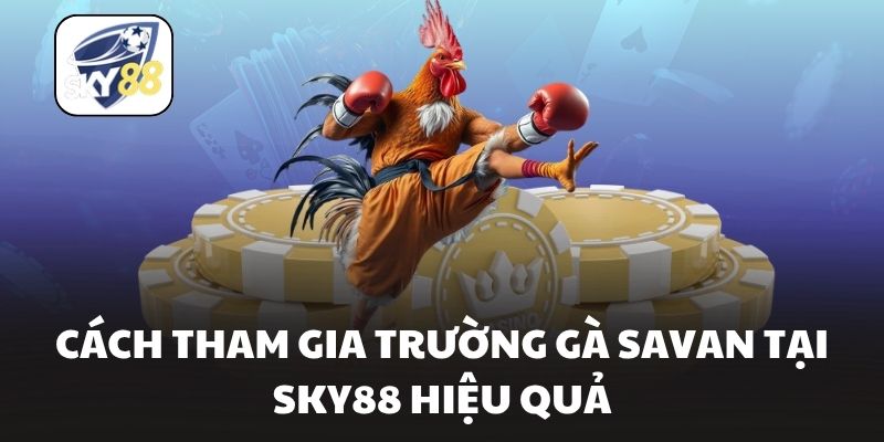 Cách tham gia trường gà savan tại Sky88 hiệu quả