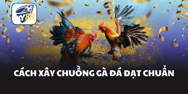 Cách xây chuồng gà đá đạt chuẩn
