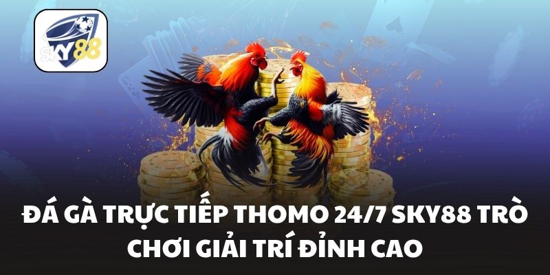Đá Gà Trực Tiếp Thomo 24/7 Sky88 Trò Chơi Giải Trí Đỉnh Cao