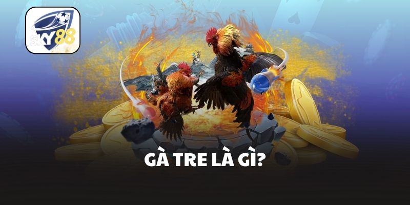 Gà tre là gì?