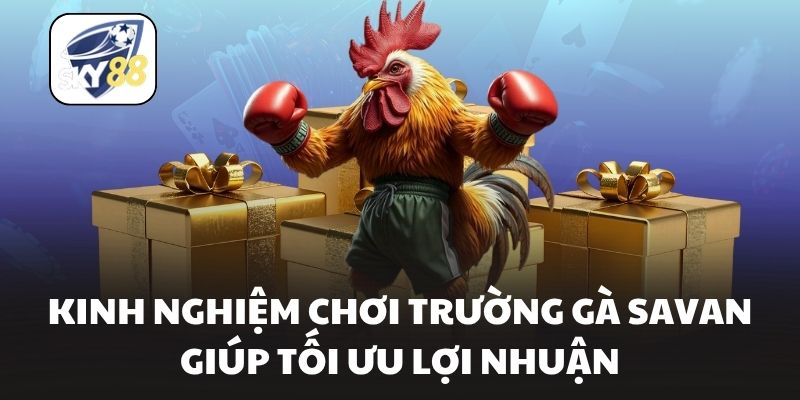 Kinh nghiệm chơi trường gà savan giúp tối ưu lợi nhuận