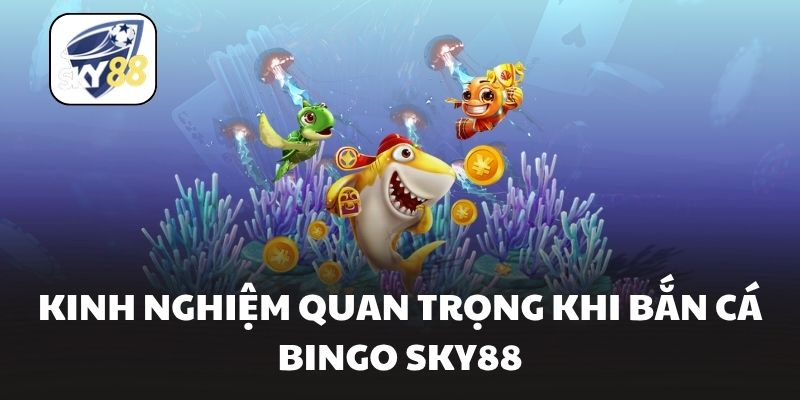 Kinh nghiệm quan trọng khi bắn cá bingo Sky88