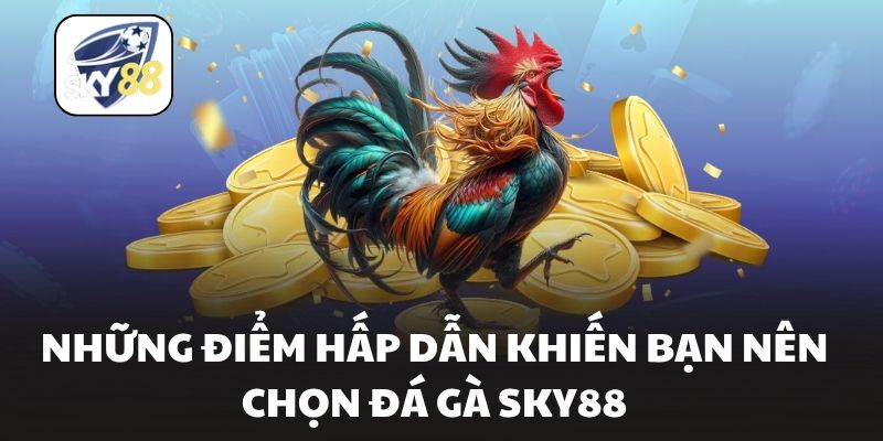 Những điểm hấp dẫn khiến bạn nên chọn đá gà Sky88