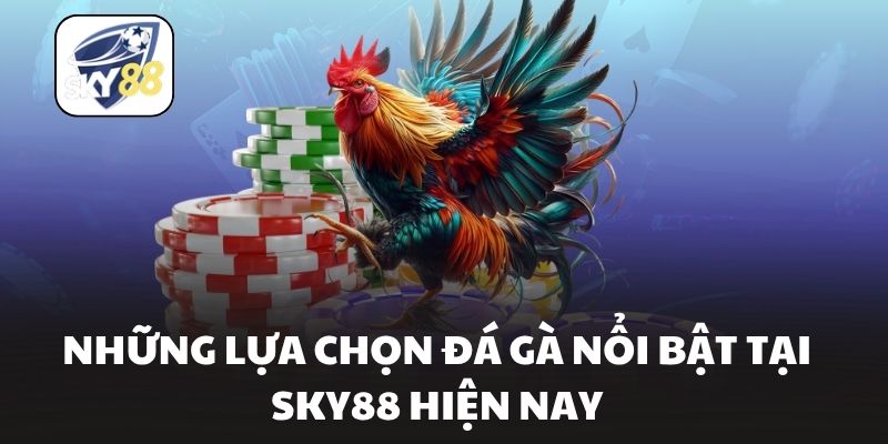 Những lựa chọn đá gà nổi bật tại Sky88 hiện nay