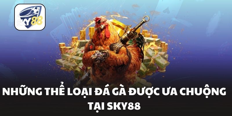 Những thể loại đá gà được ưa chuộng tại Sky88