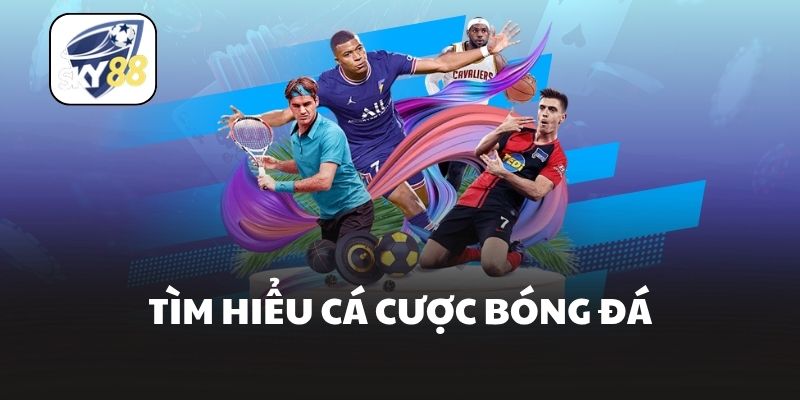 Tìm hiểu cá cược bóng đá
