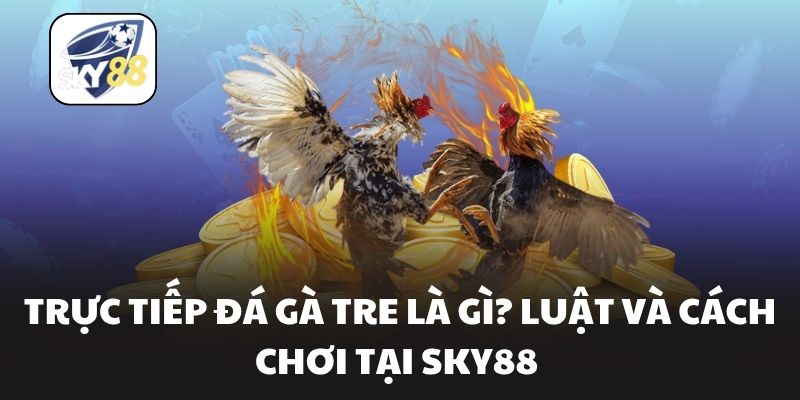 Trực Tiếp Đá Gà Tre Là Gì? Luật Và Cách Chơi Tại Sky88