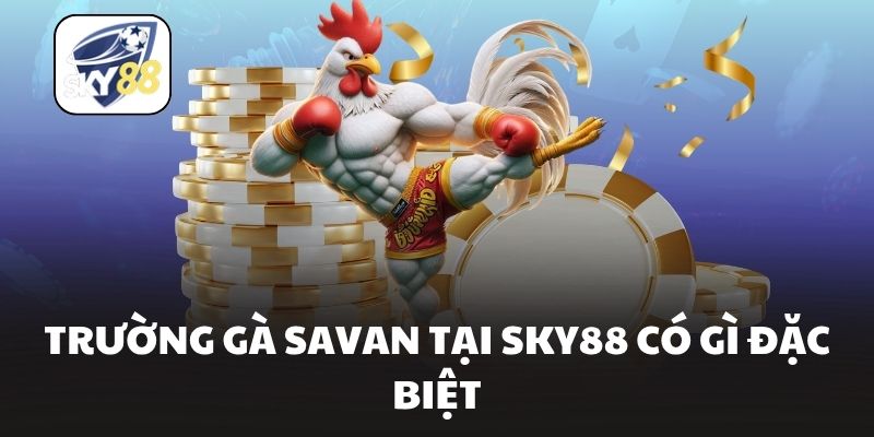 Trường gà savan tại Sky88 có gì đặc biệt