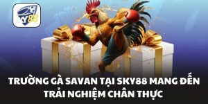 Trường Gà Savan Tại Sky88 Mang Đến Trải Nghiệm Chân Thực