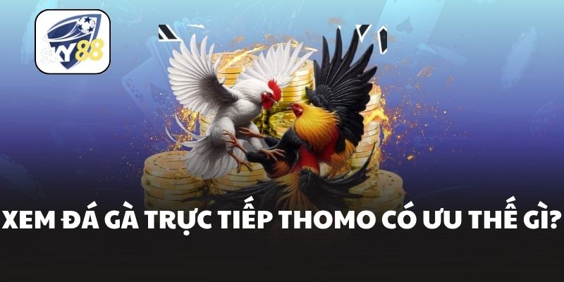 Xem đá gà trực tiếp Thomo có ưu thế gì?